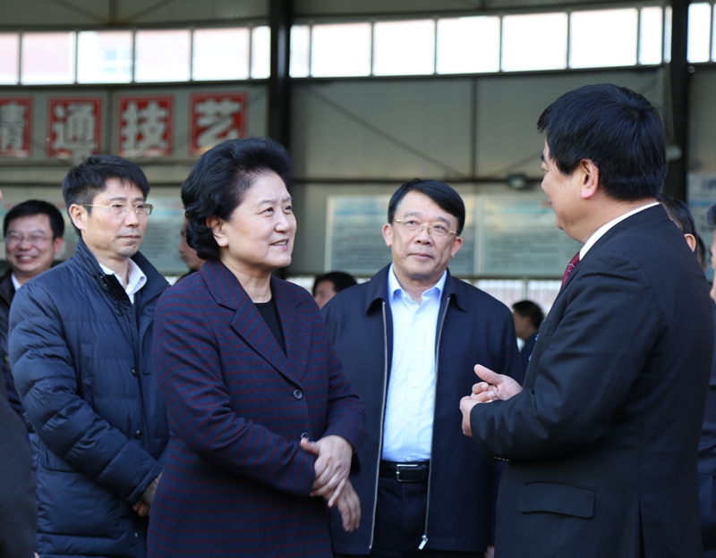 中共中央政治局委員、國務(wù)院副總理劉延?xùn)|在教育部副部長朱之文，四川省教育廳廳長朱世宏等陪同下視察四川應(yīng)用技術(shù)職業(yè)學(xué)院_副本.jpg